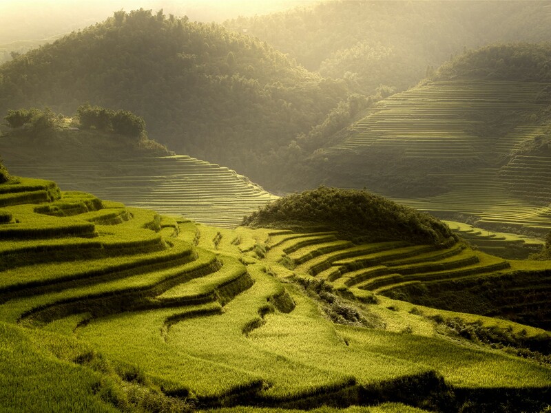 Vietnam – Na vlastní kůži
