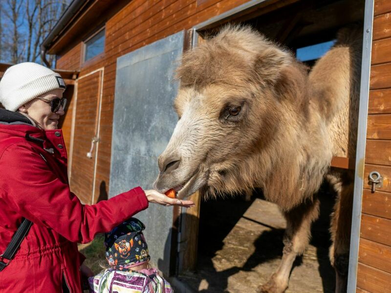 VIP vstup do Zoo Tábor s ošetřovatelem až pro 4 osoby