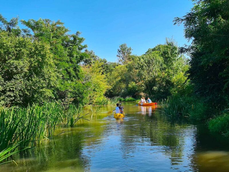 Vinařský výlet na koloběžce a v kánoi s degustací ve vinařství Hraniční zámeček – Lednice