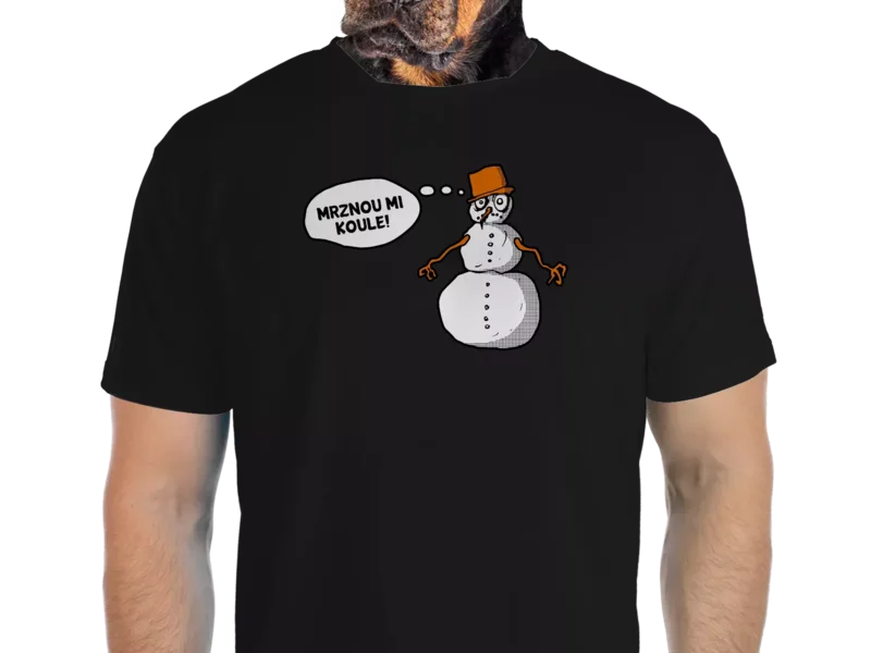 Vtipné tričko Bastard: Mrznou mi koule  (Velikost L)