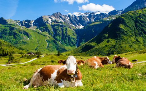 Vídeňské Alpy na léto ve Sporthotelu am Semmering *** s polopenzí a wellness